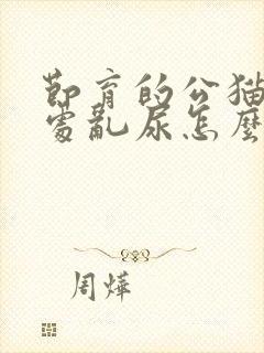 节育的公猫还到处乱尿怎么办