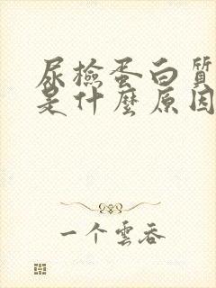 尿检蛋白质2+是什么原因引起的