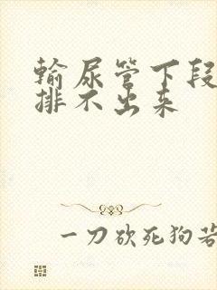 输尿管下段结石排不出来