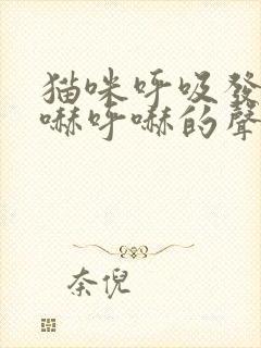 猫咪呼吸发出呼哧呼哧的声音