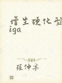 增生硬化型肾病iga