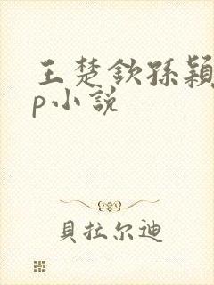 王楚钦孙颖莎cp小说