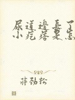 尿道边长了好多小疙瘩是怎么回事