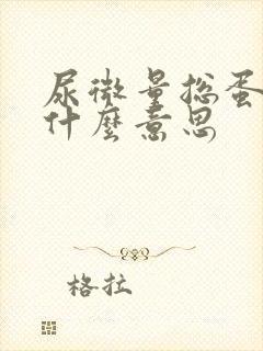 尿微量总蛋白是什么意思