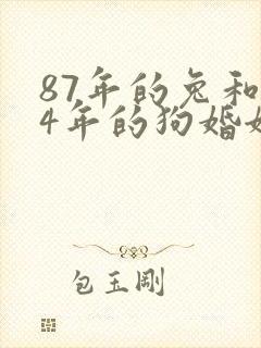 87年的兔和94年的狗婚姻相配吗