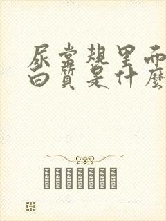 尿常规里面有蛋白质是什么意思