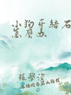 小狗牙结石严重怎么办