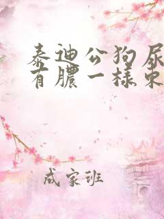 泰迪公狗尿道口有脓一样东西