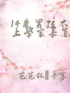 14岁男孩不想上学家长怎么办