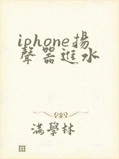 iphone扬声器进水