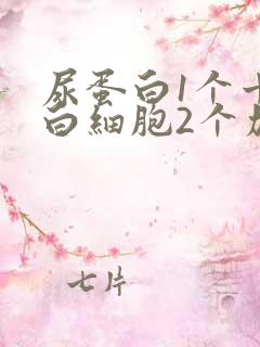 尿蛋白1个十尿白细胞2个加号