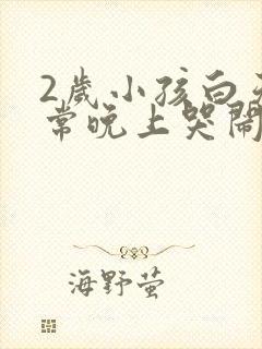 2岁小孩白天正常晚上哭闹什么原因