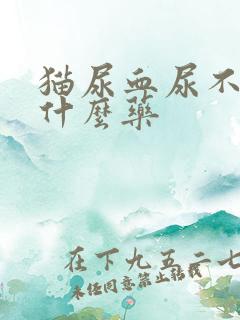 猫尿血尿不出吃什么药