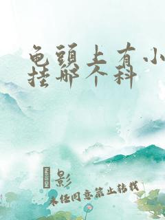 龟头上有小红斑挂哪个科