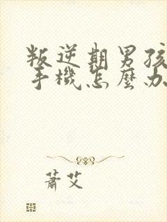 叛逆期男孩沉迷手机怎么办