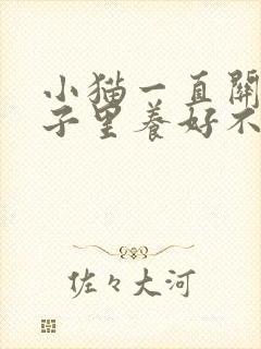 小猫一直关在笼子里养好不好