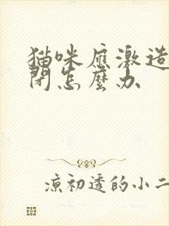 猫咪应激造成尿闭怎么办