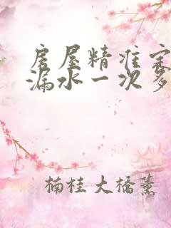 房屋精准定位查漏水一次多少钱