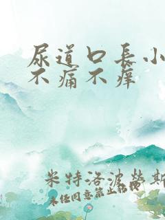 尿道口长小肉粒不痛不痒