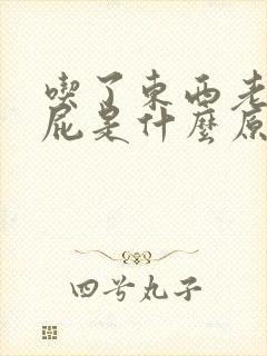 吃了东西老是放屁是什么原因