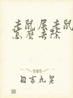 老鼠屎老鼠尿味怎么去除