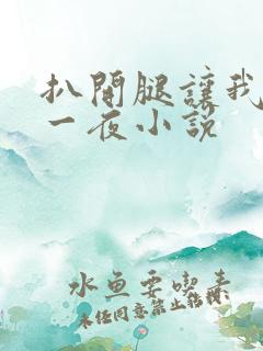 扒开腿让我爽了一夜小说