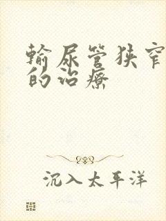 输尿管狭窄结石的治疗