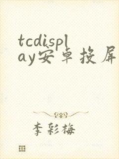 tcdisplay安卓投屏大师
