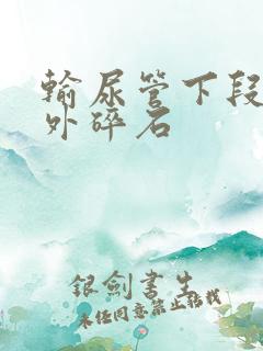 输尿管下段结石外碎石