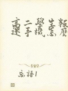 高二学生叛逆沉迷手机怎么样