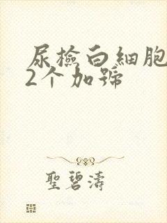 尿检白细胞酯酶2个加号