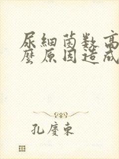 尿细菌数高是什么原因造成的