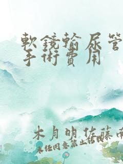 软镜输尿管结石手术费用