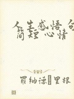 人生感悟 句子 简短 心情