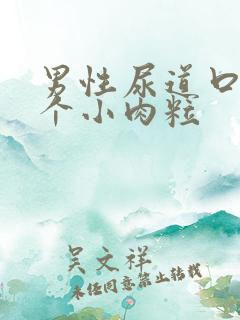 男性尿道口有两个小肉粒