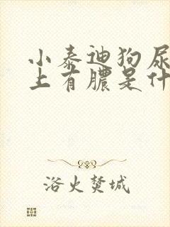 小泰迪狗尿道口上有脓是什么原因