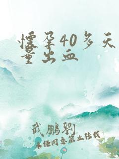 怀孕40多天少量出血