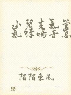 小儿支气管炎喘气哮鸣音怎么办