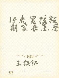 14岁男孩叛逆期家长怎么办?