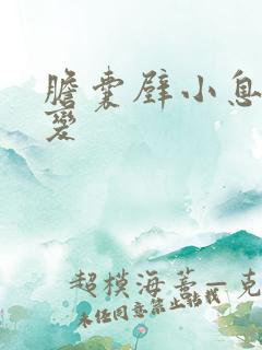 胆囊壁小息肉样变