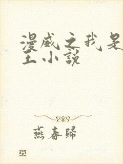 漫威之我是大魔王小说