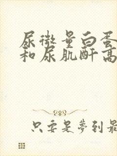 尿微量白蛋白高和尿肌酐高说明什么问题