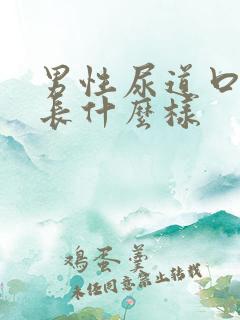 男性尿道口疣体长什么样