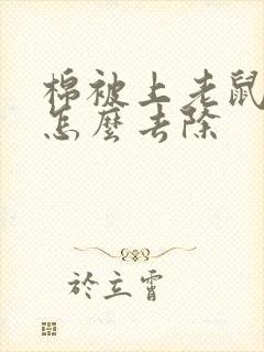 棉被上老鼠尿味怎么去除