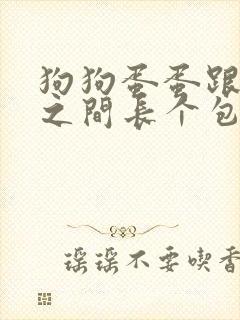 狗狗蛋蛋跟肛门之间长个包