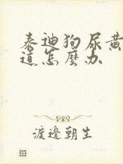 泰迪狗尿黄有味道怎么办