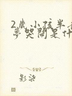 2岁小孩半夜做梦哭闹是什么原因