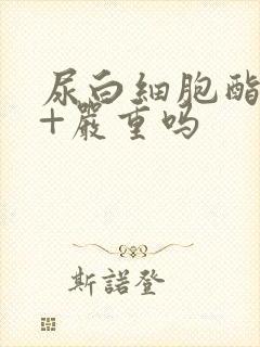 尿白细胞酯酶3+严重吗