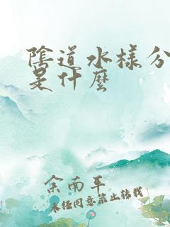 阴道水样分泌物是什么