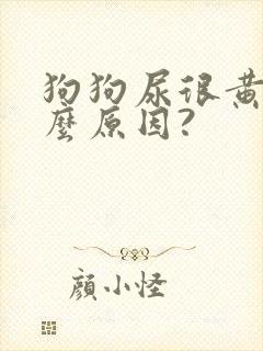 狗狗尿很黄是什么原因?